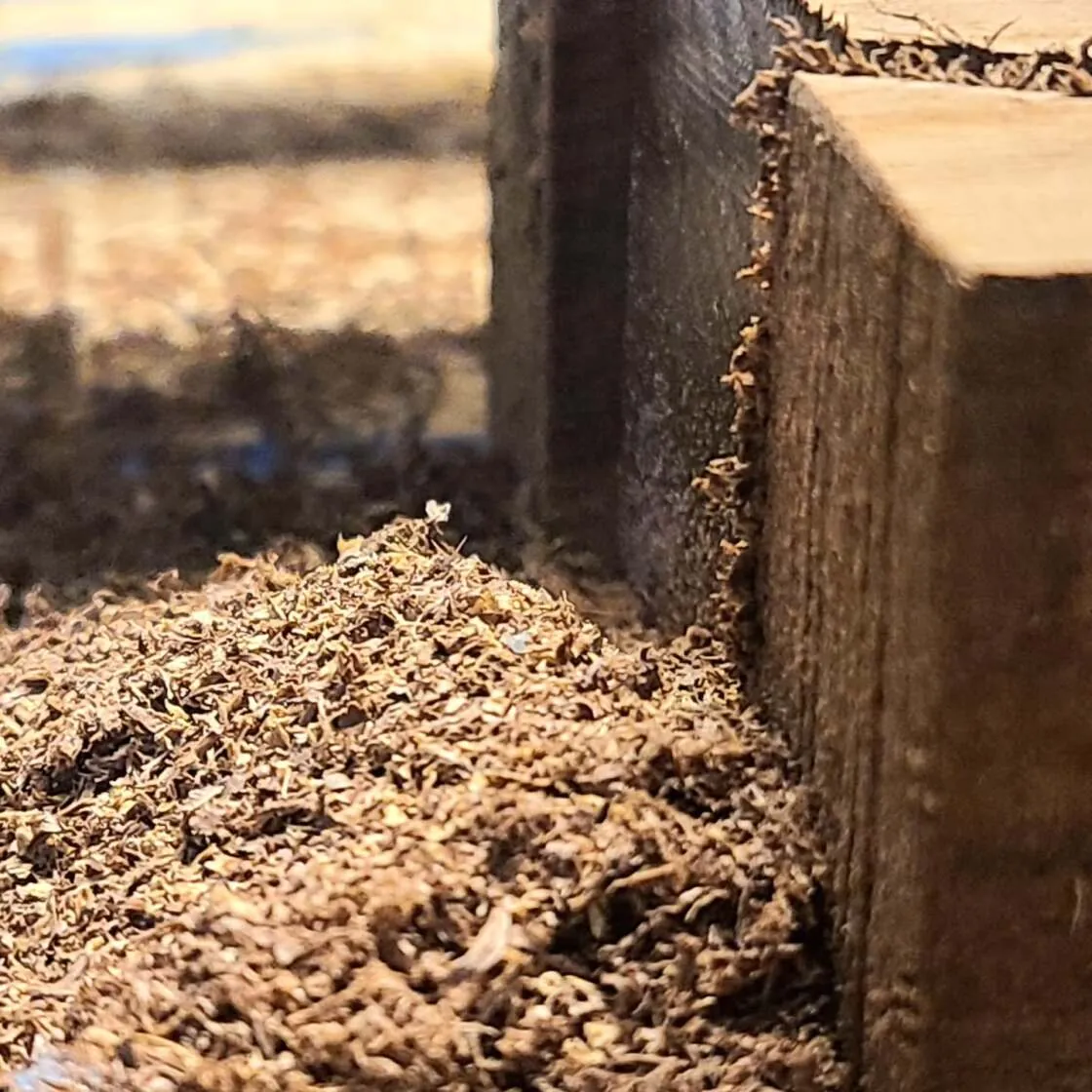 Artisan wood carving with intricate detail and fine finish